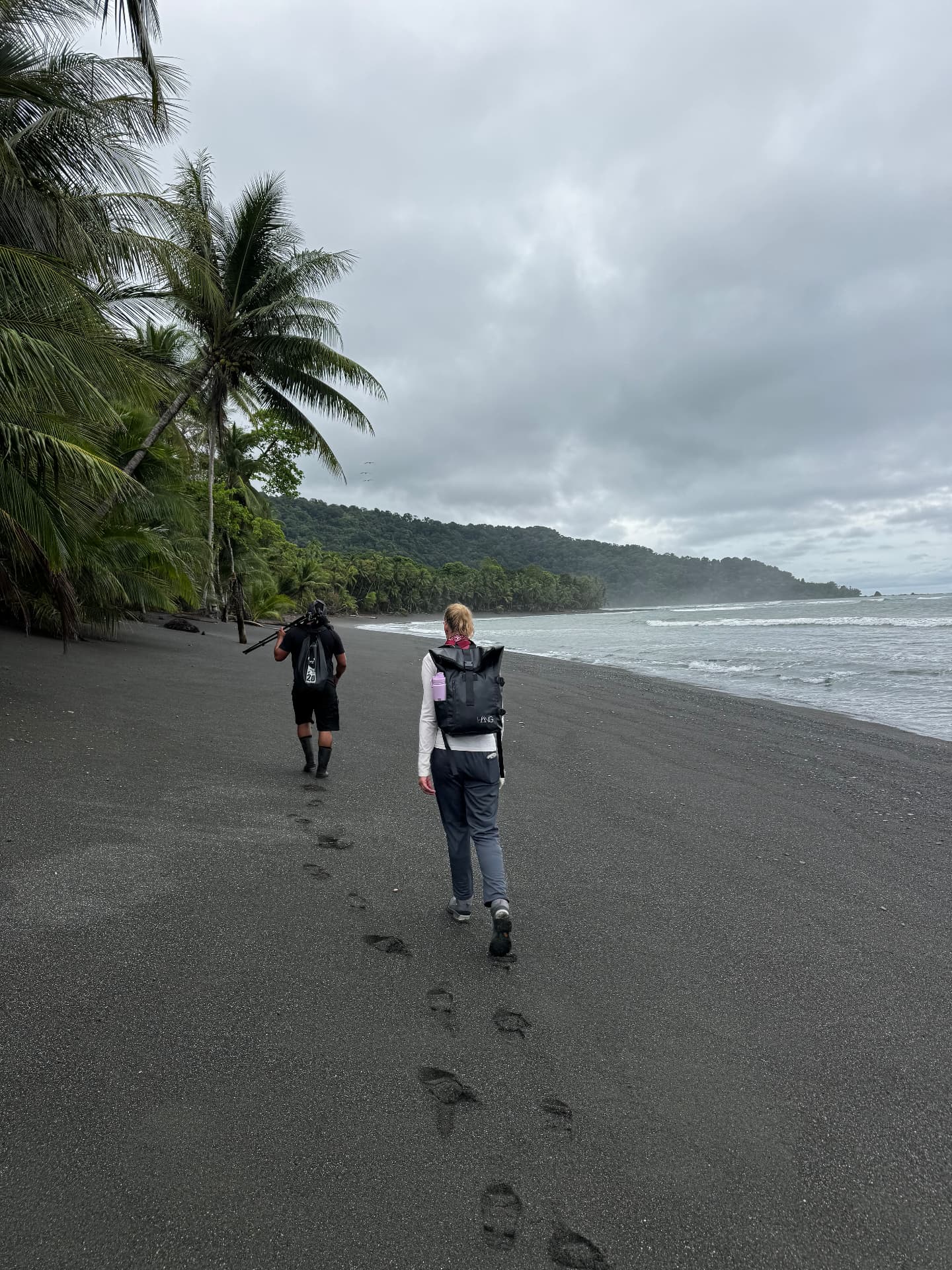 Guided walk along a wild black-sand beach