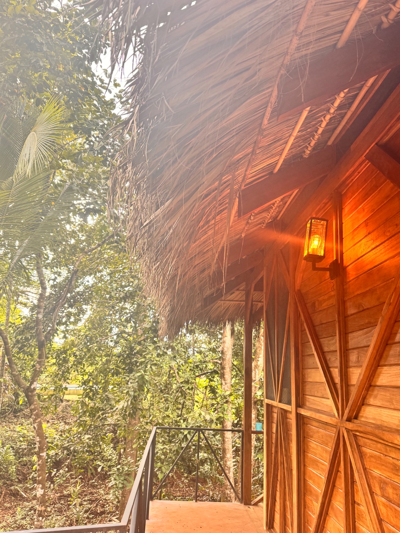 Thatched roofline and hand-carved wooden geometry