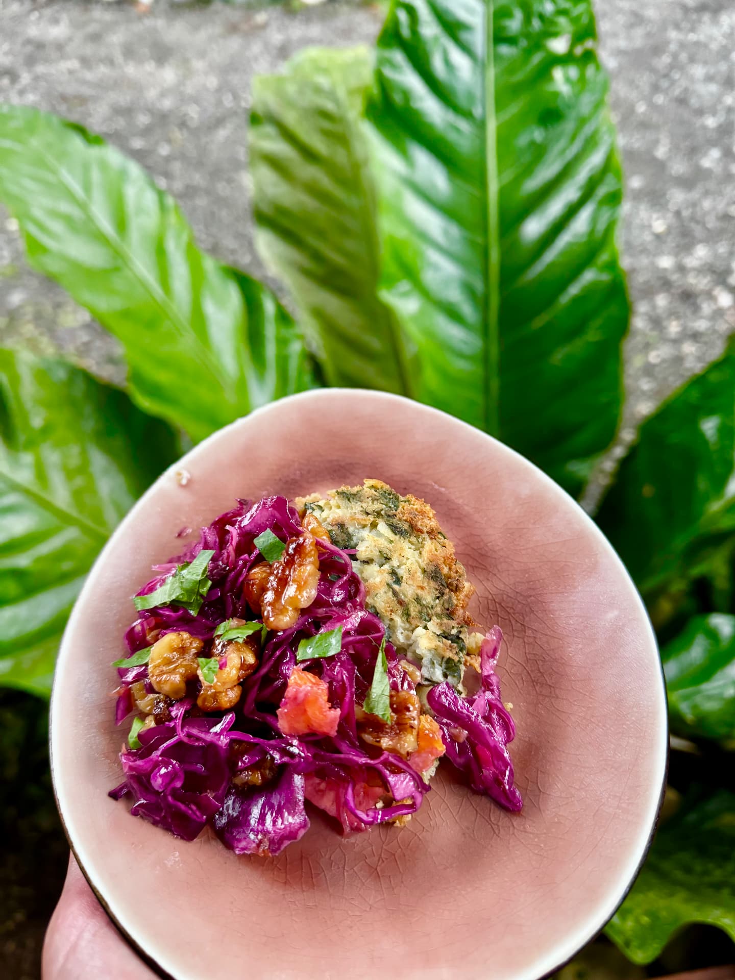 Herb fritter with red cabbage and candied walnuts, served at La Seta