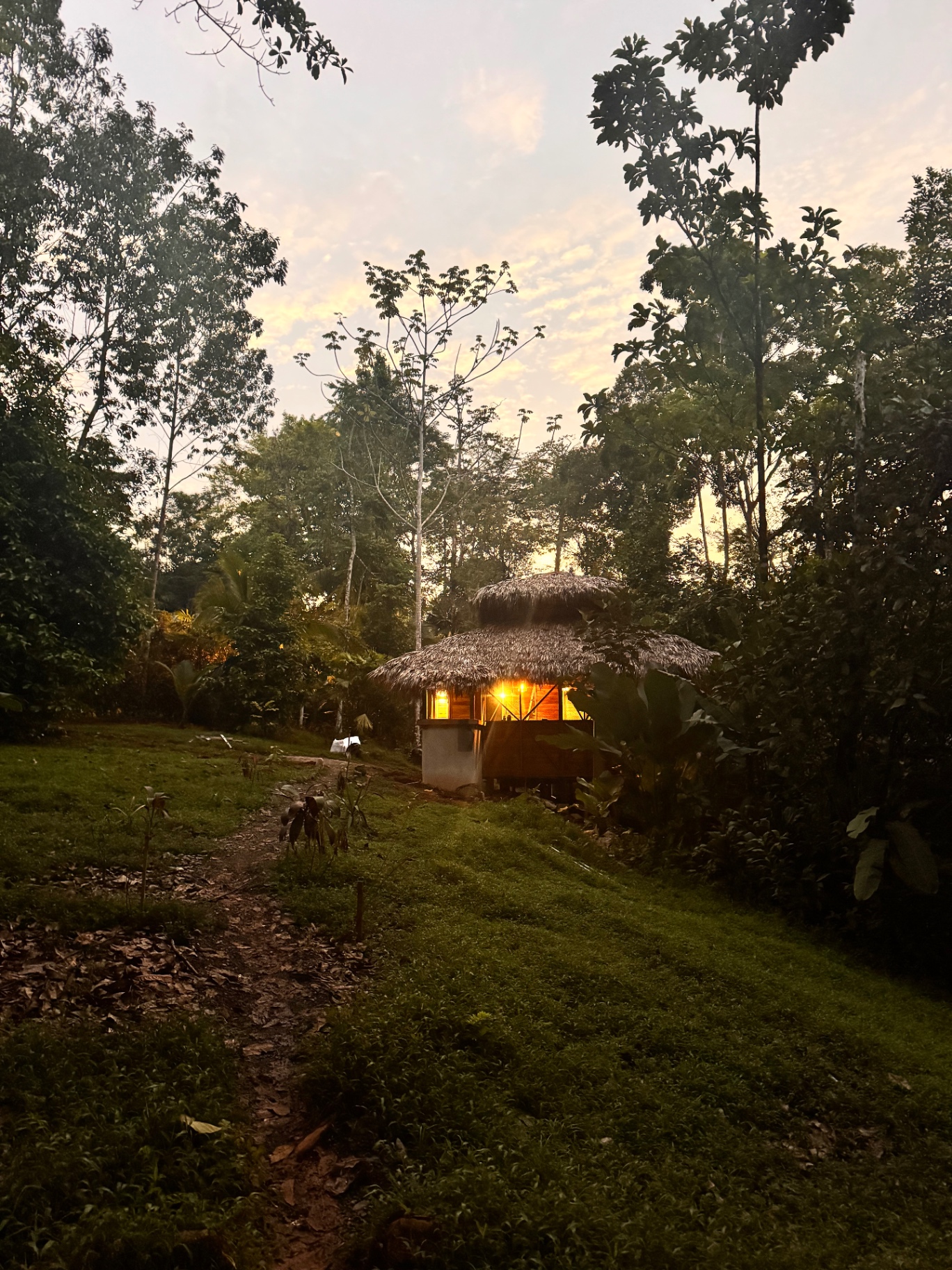 An academy house at sunset, embedded in the jungle