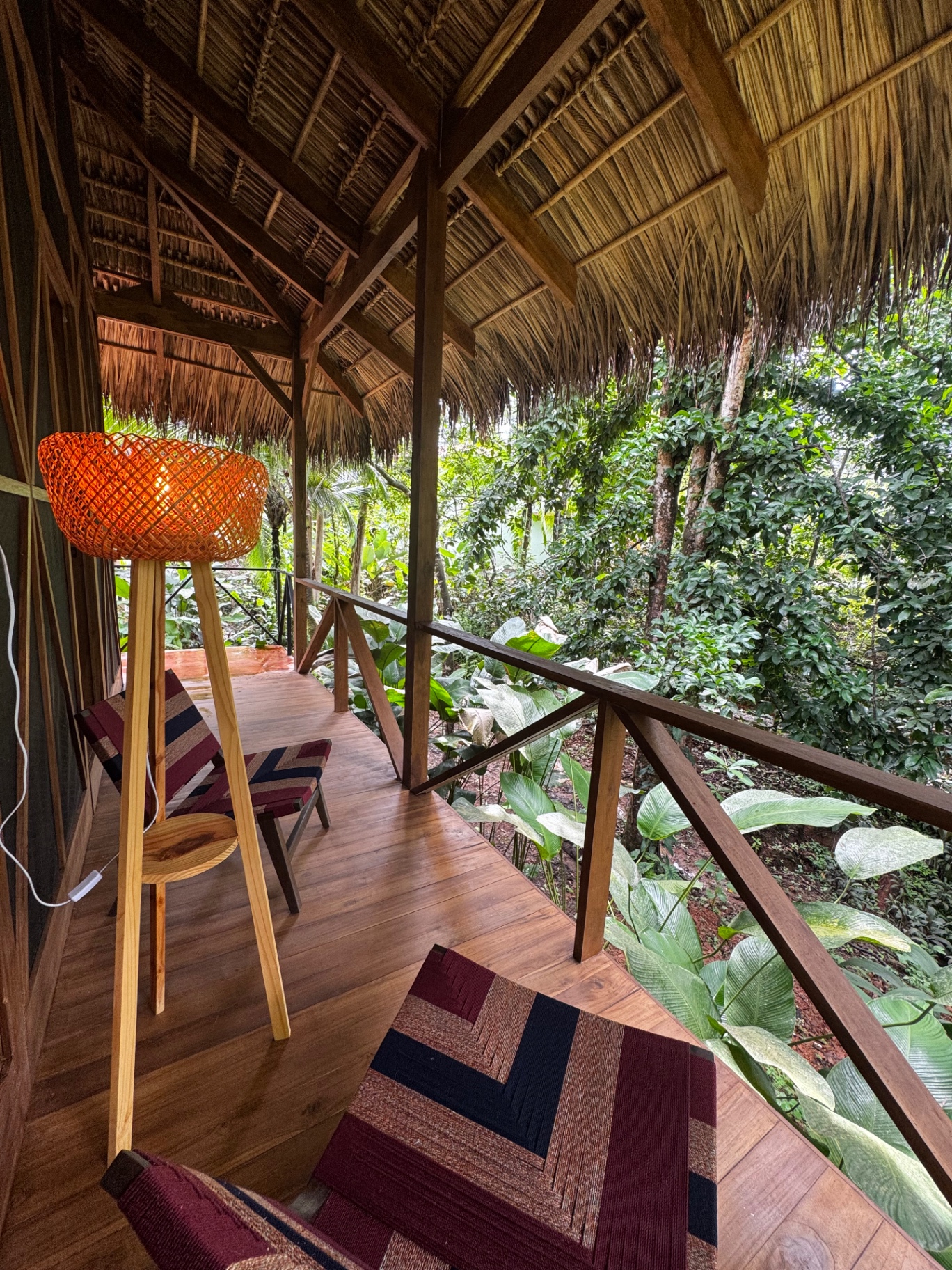 Wooden deck overlooking the rainforest