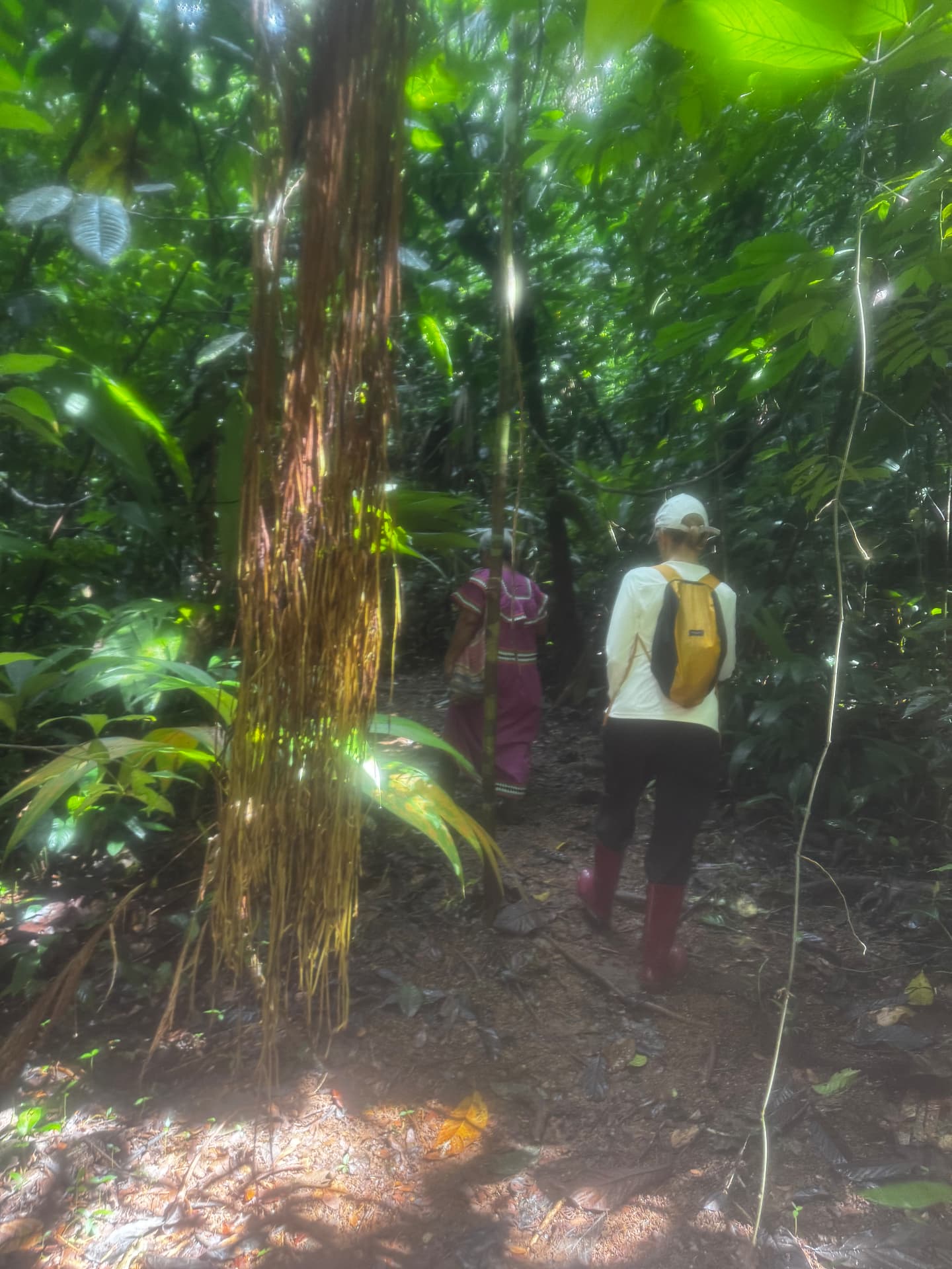 Following the guide on a jungle trail